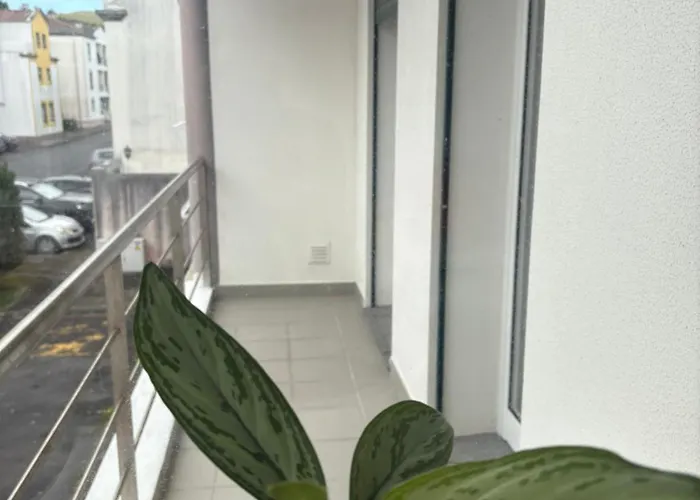 Terracotta Place Homestay